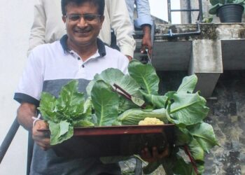 ஒருவரை ஒருவர் குற்றம் சாட்டுவதற்குப் பதிலாக மரக்கறிகளைப் பயிரிடுங்கள் -உதய கம்மன்பில எம்.பி.