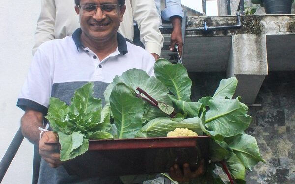 ஒருவரை ஒருவர் குற்றம் சாட்டுவதற்குப் பதிலாக மரக்கறிகளைப் பயிரிடுங்கள் -உதய கம்மன்பில எம்.பி.