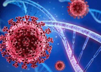 கொரோனா தொற்றாளர்களின் வீதம் அதிகரிப்பு