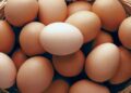 Eggs-Newsinfirst