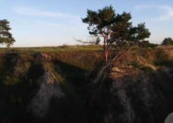 7 மாவட்டங்களுக்கு மண்சரிவு அபாய எச்சரிக்கை