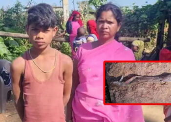 தன்னை கடித்த பாம்பை கடித்த சிறுவன்; பாம்பு இறந்தது