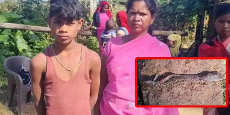 தன்னை கடித்த பாம்பை கடித்த சிறுவன்; பாம்பு இறந்தது