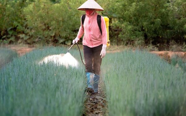 தரமற்ற பூச்சிகொல்லிகள் மற்றும் களைகொல்லிகள் குறித்து விவசாய அமைச்சு சோதனை