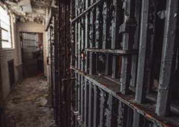 சந்திரிக்காவை கொலை செய்ய முயற்சித்தவருக்கு ஜனாதிபதியின் பொது மன்னிப்பு