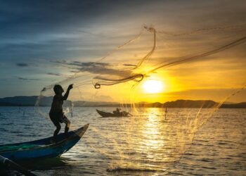 மண்ணெண்ணெய் விநியோகத்தில் உள்ள தாமதத்தை முழுமையாக நீக்க நடவடிக்கை!