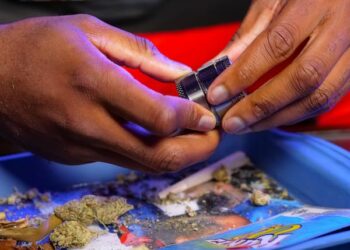 கிளிநொச்சி காட்டுப்பகுதியில் மறைத்து வைத்த 41 கிலோ கேரள கஞ்சா பொதிகள் மீட்பு