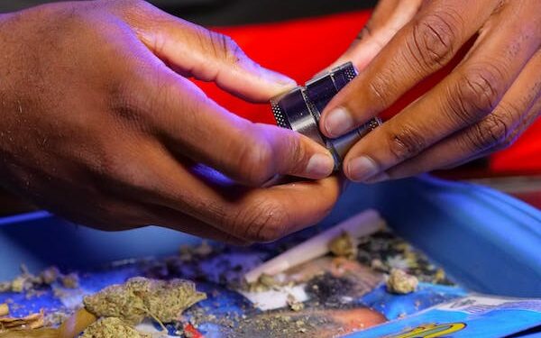 கிளிநொச்சி காட்டுப்பகுதியில் மறைத்து வைத்த 41 கிலோ கேரள கஞ்சா பொதிகள் மீட்பு