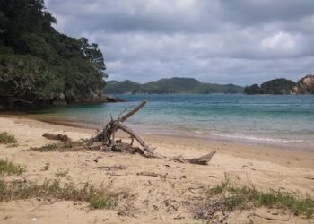 காலி முகத்திடலில் மற்றுமொரு சடலம் கண்டெடுக்கப்பட்டுள்ளது