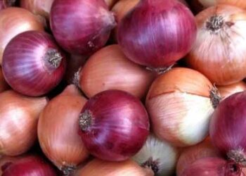 இறக்குமதி செய்யப்படும் வெங்காயத்தின் விலையில் வீழ்ச்சி