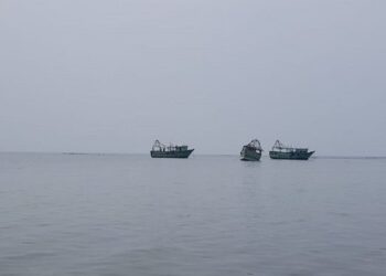 இந்தியா மண்டபம் அகதி முகாமில் இருந்து தப்பித்து வந்தவர் கைது!