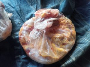 யாழ். காரைநகரில் கடலாமை இறைச்சியுடன் பொலிஸாரிடம் சிக்கிய ஐவர்!