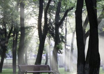 யால தேசிய பூங்கா இரண்டு நாட்களில் ரூ.16 மில்லியன் வருமானம்