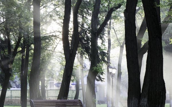 யால தேசிய பூங்கா இரண்டு நாட்களில் ரூ.16 மில்லியன் வருமானம்