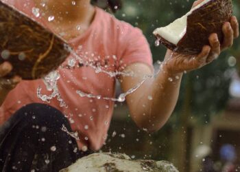 தேங்காயின் விலை அதிகரிப்பு !