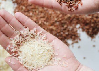 எதிர்காலத்தில் அரிசியை இறக்குமதி செய்ய வேண்டிய தேவை ஏற்படாது: அமைச்சர் மஹிந்த அமரவீர