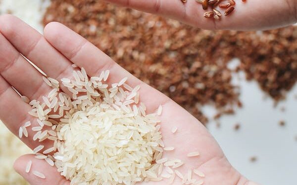 பண்டிகைக் காலத்தில் அரிசி விலை அதிகரிக்கும்