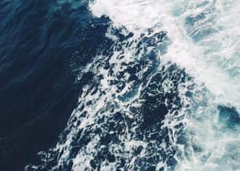 தனுஷ்கோடி மணல் திட்டில் இருந்து 6 இலங்கையர்கள் மீட்பு!மண்டூஷ் சூறாவளி: 30 படகுகள் சேதம் – குருநகர் மீனவர்கள்