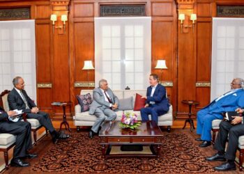 பிரிட்டன் முன்னாள் பிரதமர் டேவிட் கெமரூன் ஜனாதிபதி ரணிலை சந்திப்பு