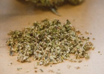 காரைநகரில் 42 மில்லியன் ரூபா பெறுமதியான கேரளா கஞ்சா மீட்பு