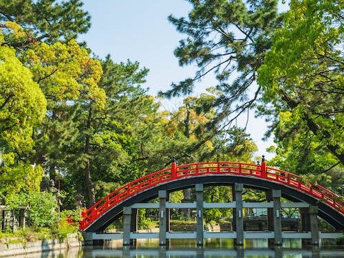 இலங்கையின் முதலாவது புலம்பெயர் பறவைகள் பூங்கா..!