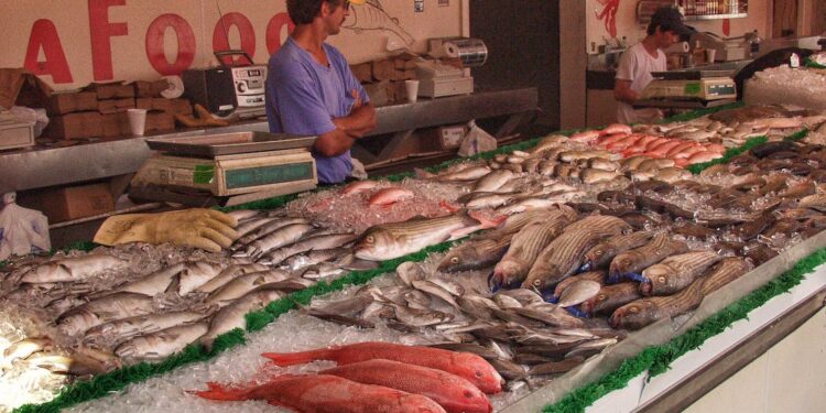 மண்ணெண்ணெய் விலை குறைவால் மீன் விலை குறையும்?