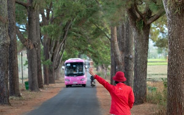 120 பாதை வழி இலக்க பேருந்துகள் வேலை நிறுத்தம் !