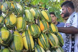 கிழக்கில் களைகட்டும் வெள்ளரிப்பழம் விற்பனை