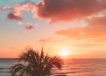 அதிக வெப்பத்தால் 22,000 பேர் உயிரிழந்த நாடு..!