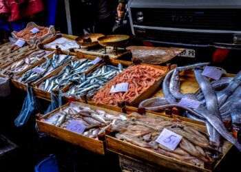 இனிமேல் இப்படியும் மீன் வாங்கலாம்..!