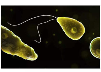 மனித குலத்துக்கு பெரும் அச்சுறுத்தல்… மூளை தின்னும் அமீபாவால் மேலும் ஒருவர் பலி!