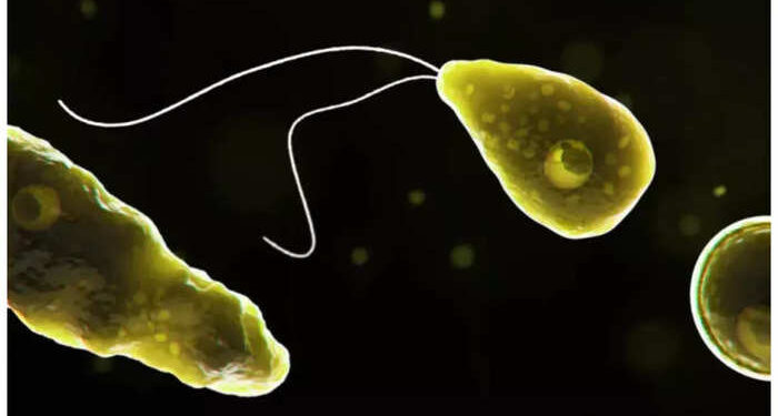 மனித குலத்துக்கு பெரும் அச்சுறுத்தல்… மூளை தின்னும் அமீபாவால் மேலும் ஒருவர் பலி!