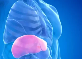 உலக கல்லீரல் தினம்: கல்லீரலை நாம் ஏன் ஆரோக்கியமாக வைத்து கொள்ள வேண்டும்?