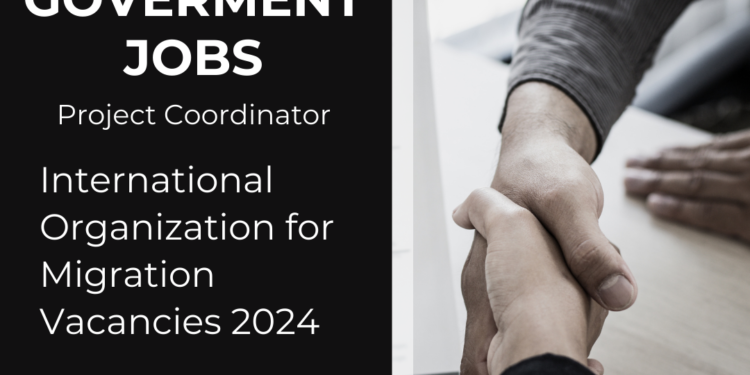 Project Coordinator – International Organization for Migration Vacancies 2024