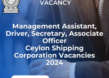 Management Assistant, Driver, Secretary, Associate Officer – Ceylon Shipping Corporation Vacancies 2024