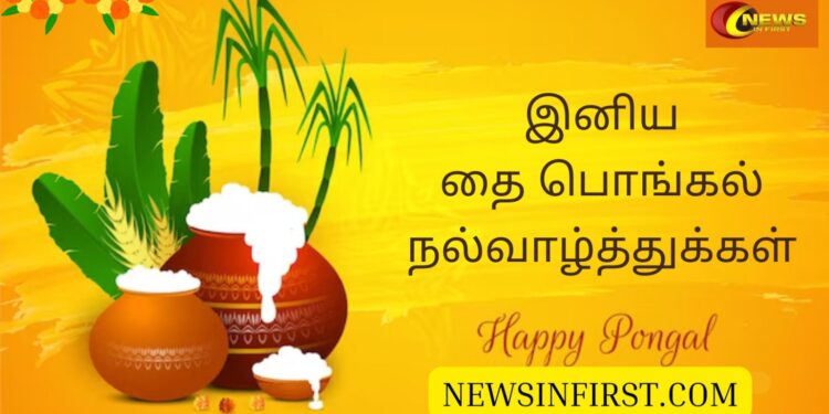 அனைவருக்கும் இனிய தை பொங்கல் வாழ்த்துக்கள்