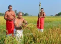 நல்லூர் கந்தன் ஆலயத்தில் நெற்புதிர் அறுவடை நிகழ்வு இன்று