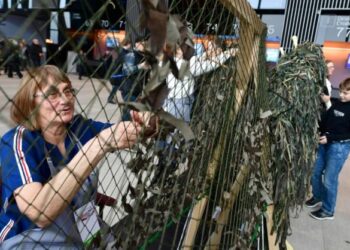 ரஷ்யாவின் போர் மூன்றாம் ஆண்டை எட்டியுள்ள நிலையில் உக்ரைன் தற்காப்பு நிலையில் உள்ளது