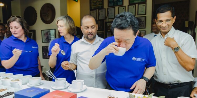 இலங்கையில் தேயிலை, இறப்பர் மற்றும் தென்னந்தோப்புகளை அபிவிருத்தி செய்வதற்கு UNFAO ஆதரவளிக்கிறது