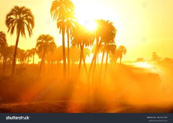 வானிலை அறிக்கை