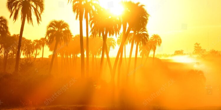 வானிலை அறிக்கை