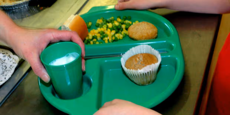 ‘விரக்தியான புறக்கணிப்பு’: இங்கிலாந்தின் பள்ளிகளை வறுமை வாட்டி வதைக்கும் ஆசிரியர்கள் துணி துவைப்பதும் படுக்கைகளைக் கண்டறிவதும் உறைந்து கிடக்கும் வீடுகளில் இருந்து களைத்துப்போயிருக்கும் குழந்தைகளால் பள்ளிகள் மூழ்கும் அபாயம் உள்ளது, தலைமையாசிரியர்கள் மற்றும் பிரச்சாரகர்கள் எச்சரிக்கின்றனர் ‘ஒரு குழந்தை பசியுடன் இருந்தால், நீங்கள் ஒரு நல்ல ஆசிரியராக இருந்தாலும் பரவாயில்லை’