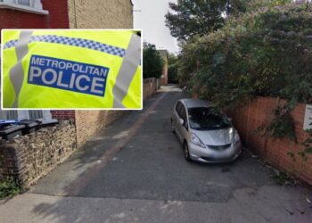 66 வயது முதியவருக்கு லண்டனில் நடந்த பயங்கரம்: 30 வயது இளம்பெண் கைது