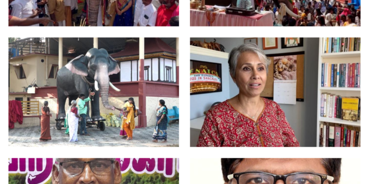 கோவில் யானைகள் துன்புறுத்தல் என்ற குற்றச்சாட்டுக்கு ‘ரோபோ யானை’ முற்றுப்புள்ளி வைக்குமா?