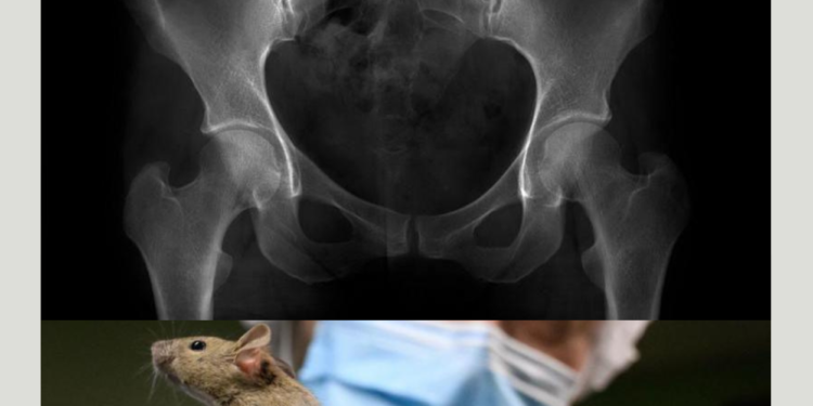 நமக்கு வால் இல்லாததால் ஏற்படும் நோய்கள் என்னென்ன தெரியுமா?