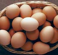 பண்டிகைக் காலத்திற்காக இலங்கை 42 மில்லியன் முட்டைகளை இறக்குமதி செய்யவுள்ளது