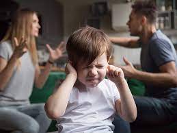 குடும்ப வன்முறை தடுப்புச் சட்டத்தை மீளாக்கம் செய்ய அரசாங்கம் தீர்மானம்