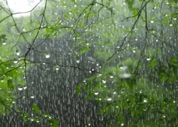 வானிலை : இன்று சில பகுதிகளில் மாலை நேரங்களில் மழை பெய்யக்கூடும்.