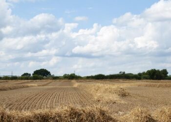 வானிலை எச்சரிக்கை: இன்று பெரும்பாலான பகுதிகளில் வறண்ட வானிலை எதிர்பார்க்கப்படுகிறது