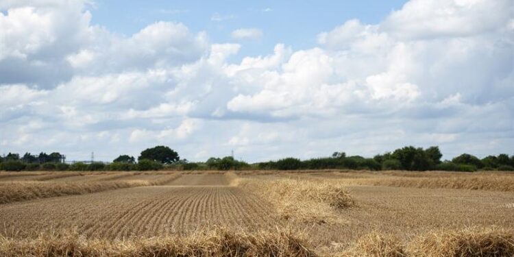 வானிலை எச்சரிக்கை: இன்று பெரும்பாலான பகுதிகளில் வறண்ட வானிலை எதிர்பார்க்கப்படுகிறது